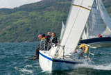 bambi gbr9612 ss12 sun 11362